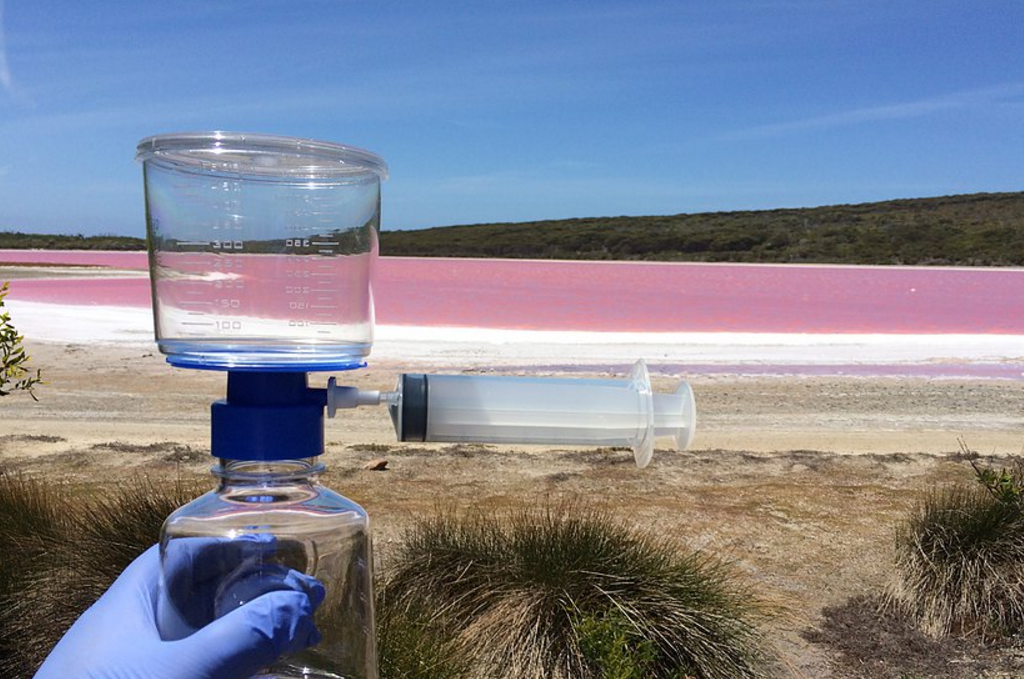 why lake hillier is pink