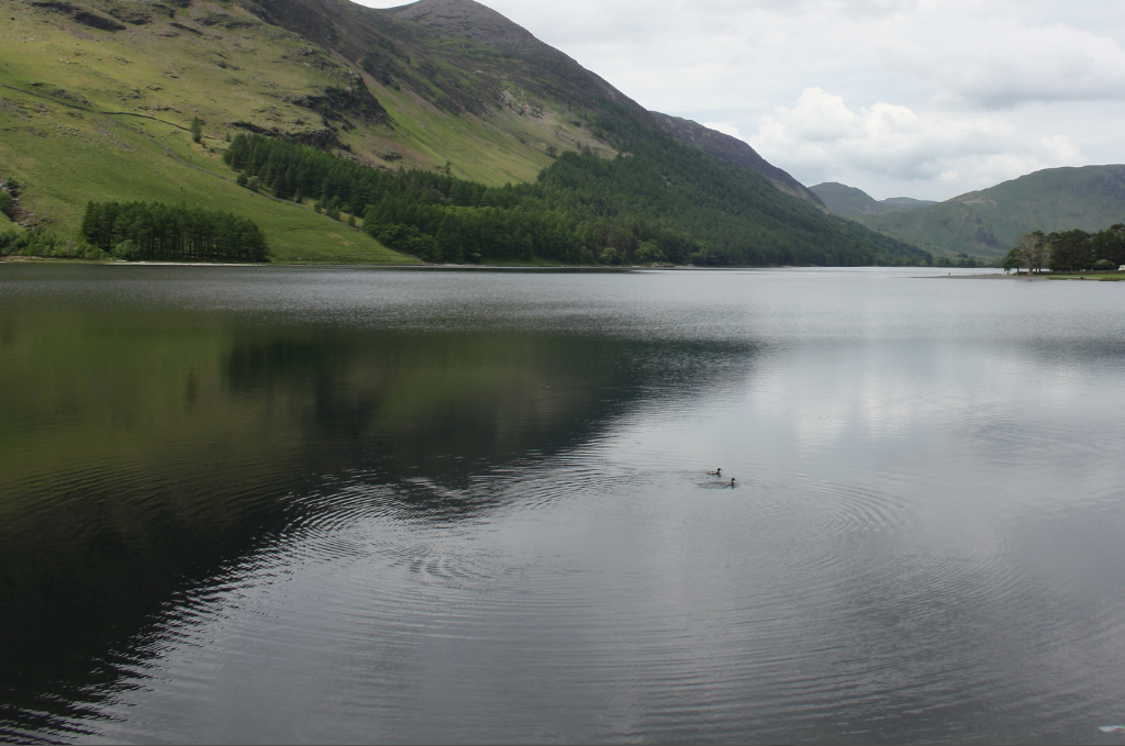 diel lake buttermere