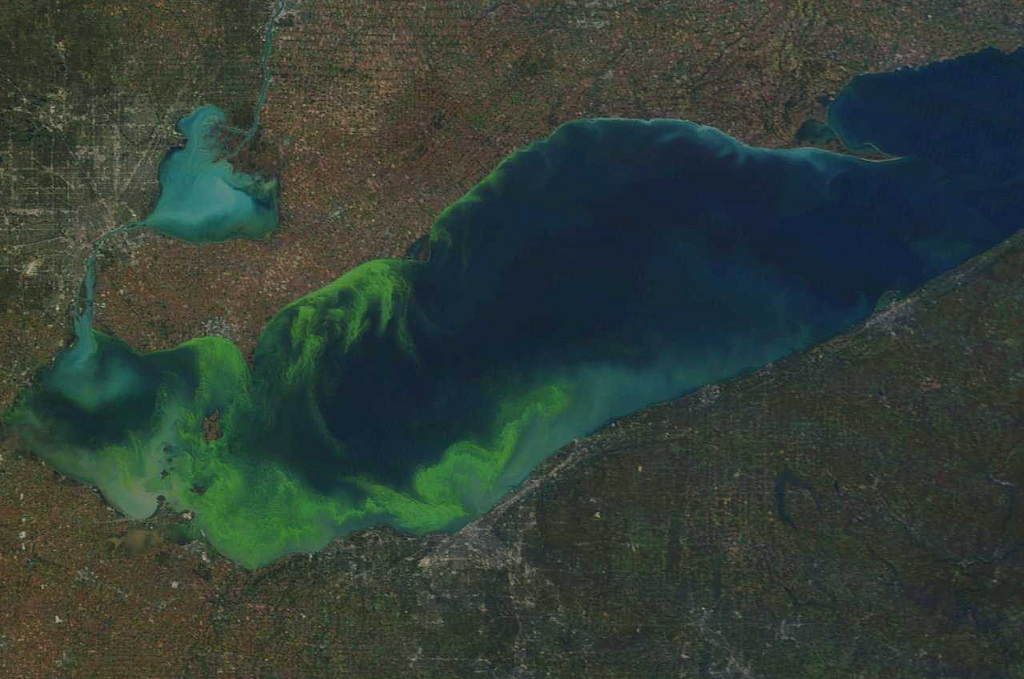 lake erie algal bloom