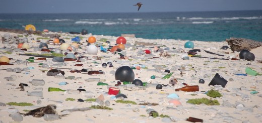 lake michigan beach trash