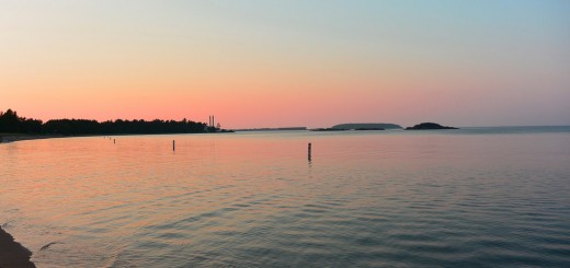 invasion risk assessment lake superior