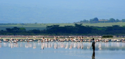 Lake Elmenteita. (Credit: Flickr User Xiaojun Deng via Creative Commons 2.0)