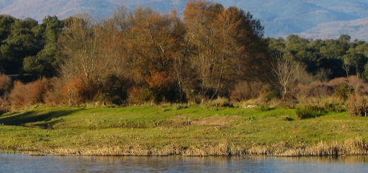 sierra de gredos