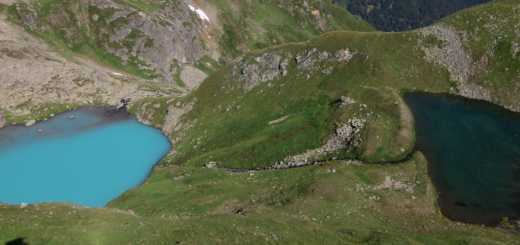 shifts in diversity faselfad lakes