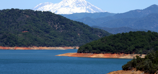 lake shasta