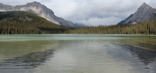 iron fights algal blooms