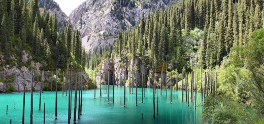 lake kaindy sunken forest