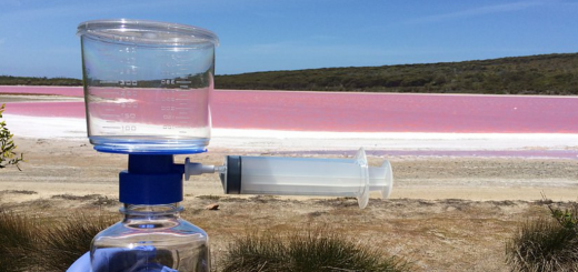 why lake hillier is pink