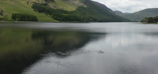 diel lake buttermere