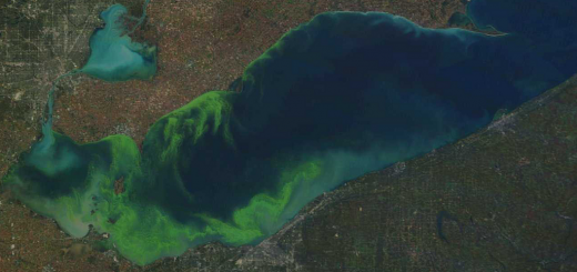 lake erie algal bloom