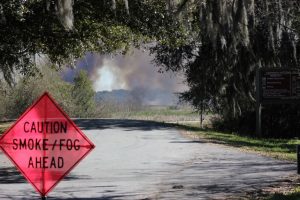 A prescribed fire conducted on Savannah NWR burned 405 acres along the Laurel Hill Wildlife Drive on February 18, 2016