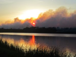 A prescribed fire being used for landscape management near a lake in Madison, South Dakota