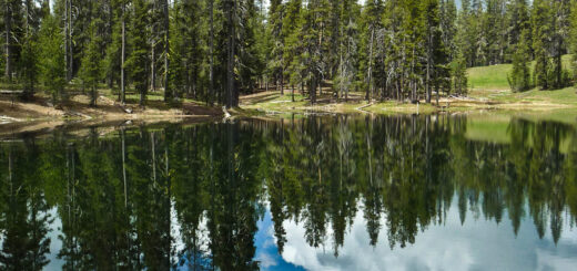 Little Medicine Lake