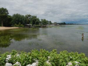 Sampling on Lake St. Clair, July 29, 2013.