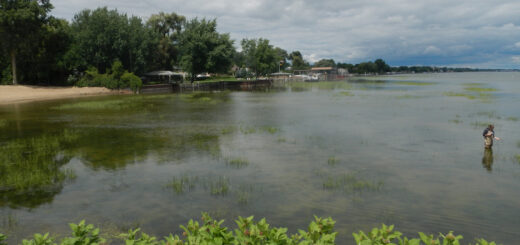 Sampling on Lake St. Clair, July 29, 2013.