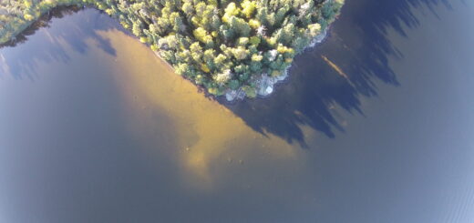 Image of Lake 239 at IISD Experimental Lakes Area from above