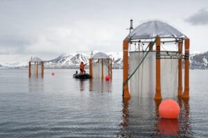 Scientists sampling mesocosms during an outdoor experiment investigating the reactions of marine organisms to ocean acidification at Kongsfjord, Ny-Alesund, Svalbard.