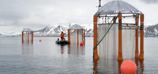Scientists sampling mesocosms during an outdoor experiment investigating the reactions of marine organisms to ocean acidification at Kongsfjord, Ny-Alesund, Svalbard.