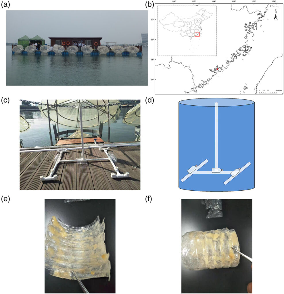 Ocean acidification mesocosms in Wuyuan Bay, Xiamen, China (a). Location of mesocosms (b). Deployment of PET drinking bottles in the mesocosms (c,d). Biofilm on a drinking bottle after the 32‐d experiment 