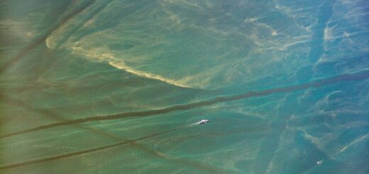 Harmful Algal Bloom in Western Basin of Lake Erie: July 9, 2018