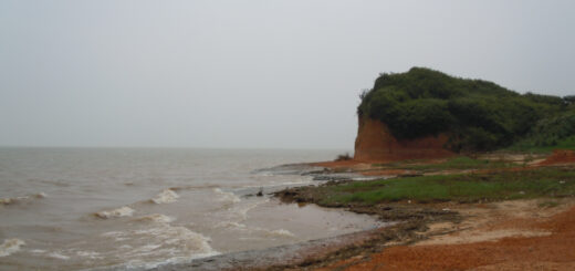 Sand Hills in Xingzi County, Poyang Lake--the lake tht had its carbon dynamics assessed.