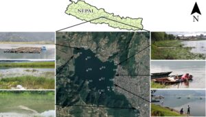 Sampling points of study area with possible sources of microplastic.