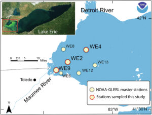 NOAA-GLERL master stations in Lake Erie and selected stations monitored during this study. Water column depths are 2.7, 5.7, and 8.9 m for WE9, WE2, and WE4, respectivel