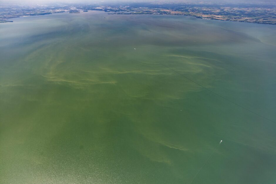 Harmful Algal Bloom in Western Lake Erie, July 9, 2018