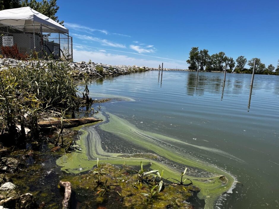 Grand Lake St Marys, one of the sites where the drone-based sampling occurred.