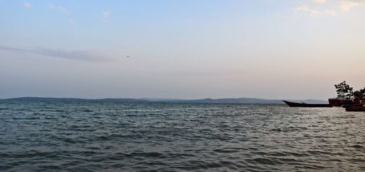 Lake Victoria from the shore of Jinja, Uganda