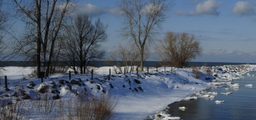 Winter in Lake Ontario where chloride trends are on the rise