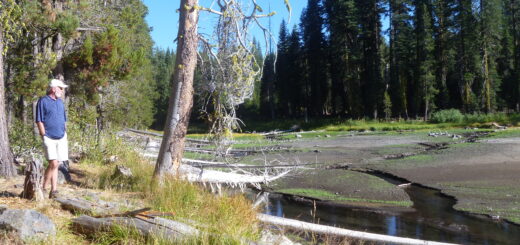 A visitor observes the Dream Lake restoration process from the north shore.