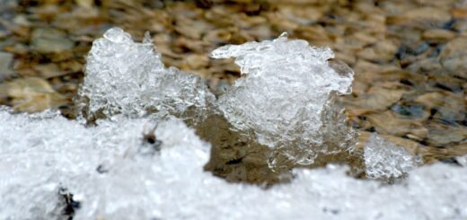 Ice growth in a stream