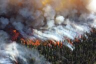 2013 photo of the Alder Fire in Yellowstone National Park. Such wildfires can lead to spikes in dissolved organic carbon in waterways.