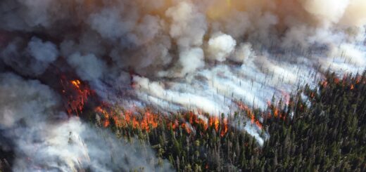 2013 photo of the Alder Fire in Yellowstone National Park. Such wildfires can lead to spikes in dissolved organic carbon in waterways.
