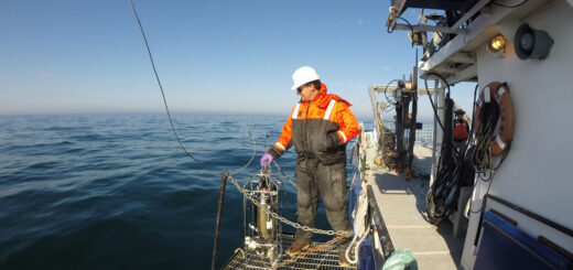 Zooplankton sampling in Lake Michigan June 16, 2014.