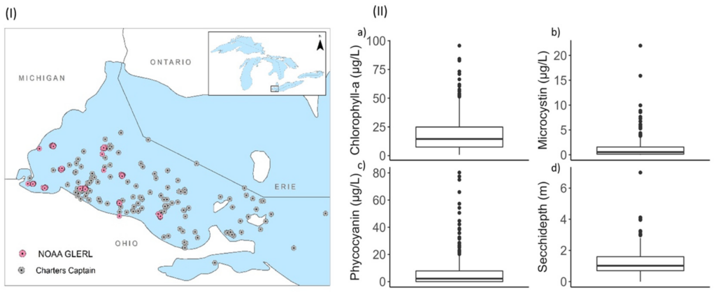 on the left is a map of Lake Erie's western basin with dots representing ground sampling locations. This data was then compared to Sentinel-3 OLCI imagery. On the right is a boxplot of the values for algal bloom proxies.