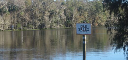 Sign indicating an "idle speed" or "o-wake zone for boaters on the St. Johns River in Astor, Florida, USA.