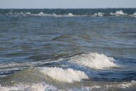 The waves of Lake Erie in Point Pelee National Park.