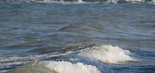 The waves of Lake Erie in Point Pelee National Park.