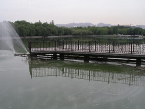 Honghu Lake which was the study site for the endogenous pollution study.