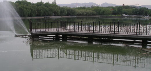 Honghu Lake which was the study site for the endogenous pollution study.